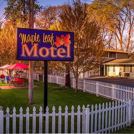 Maple Leaf Motel Shady Cove Exterior photo
